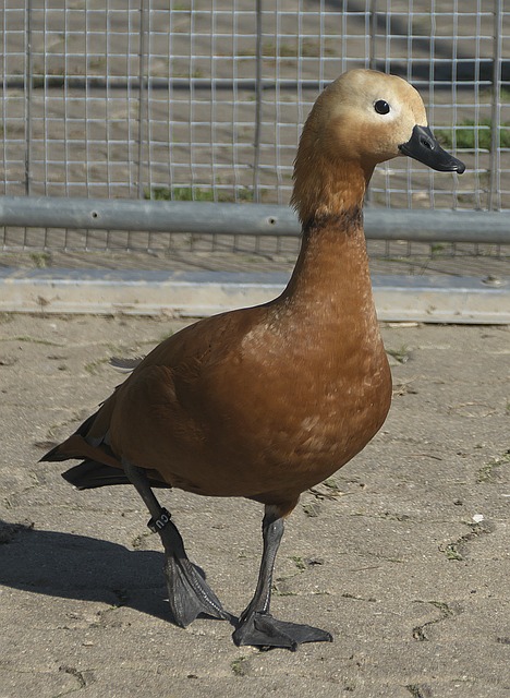 选择能够真