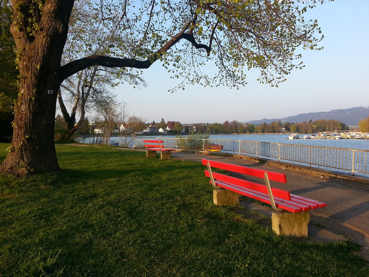 他们的潜力 他们的潜力