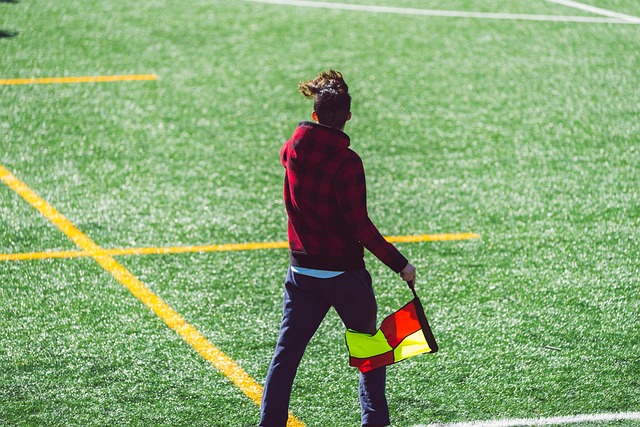 除了传统豪 除了传统豪