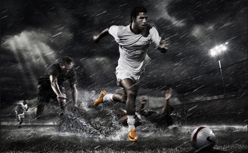 物的科学培 物的科学培