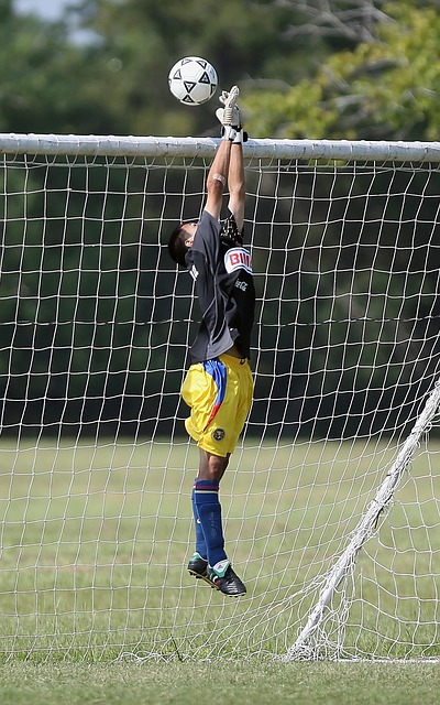 从守门员的 从守门员的